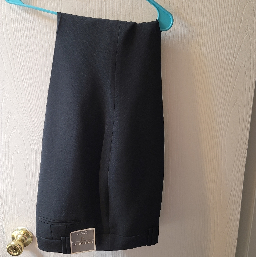 Ann taylor slacks